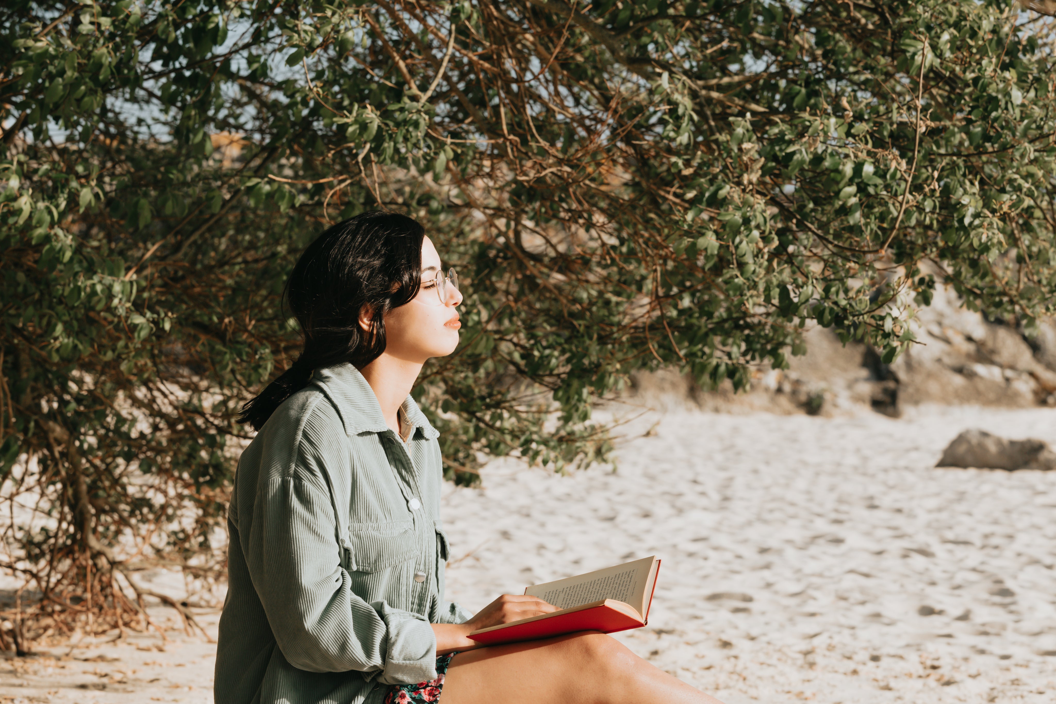 person-reads-a-novel-on-the-sandy-beach-by-a-tree.jpg