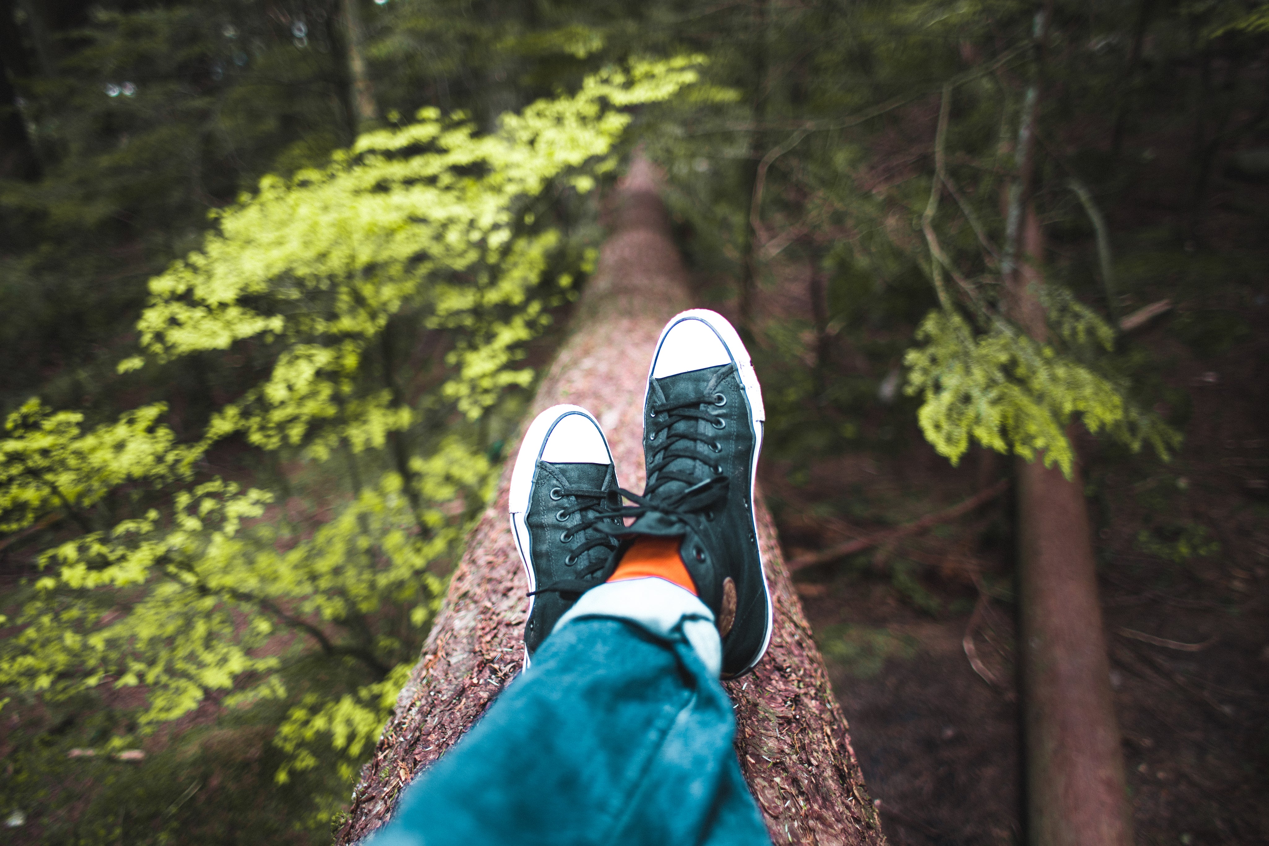 relaxing-in-nature.jpg