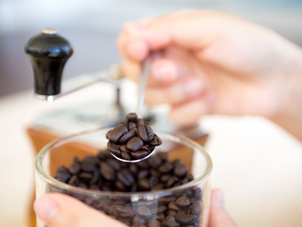 ¿Qué es el café arábica y por qué es la base del café de especialidad? - biensta