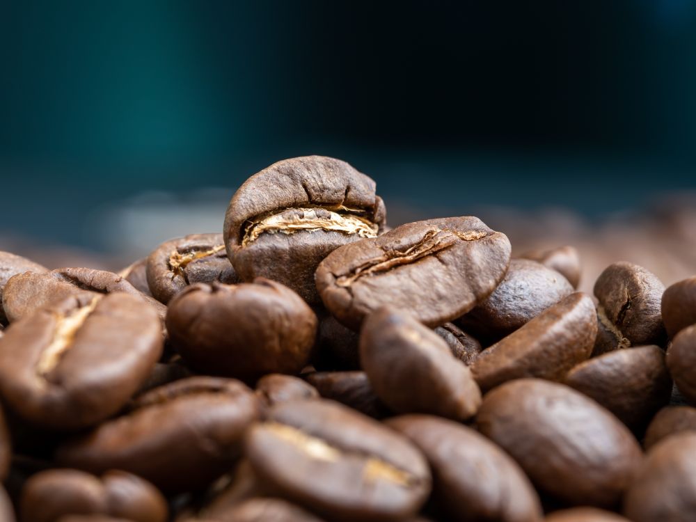 Diferencias entre café arábica y robusta: entender tu café es parte del ritual - biensta