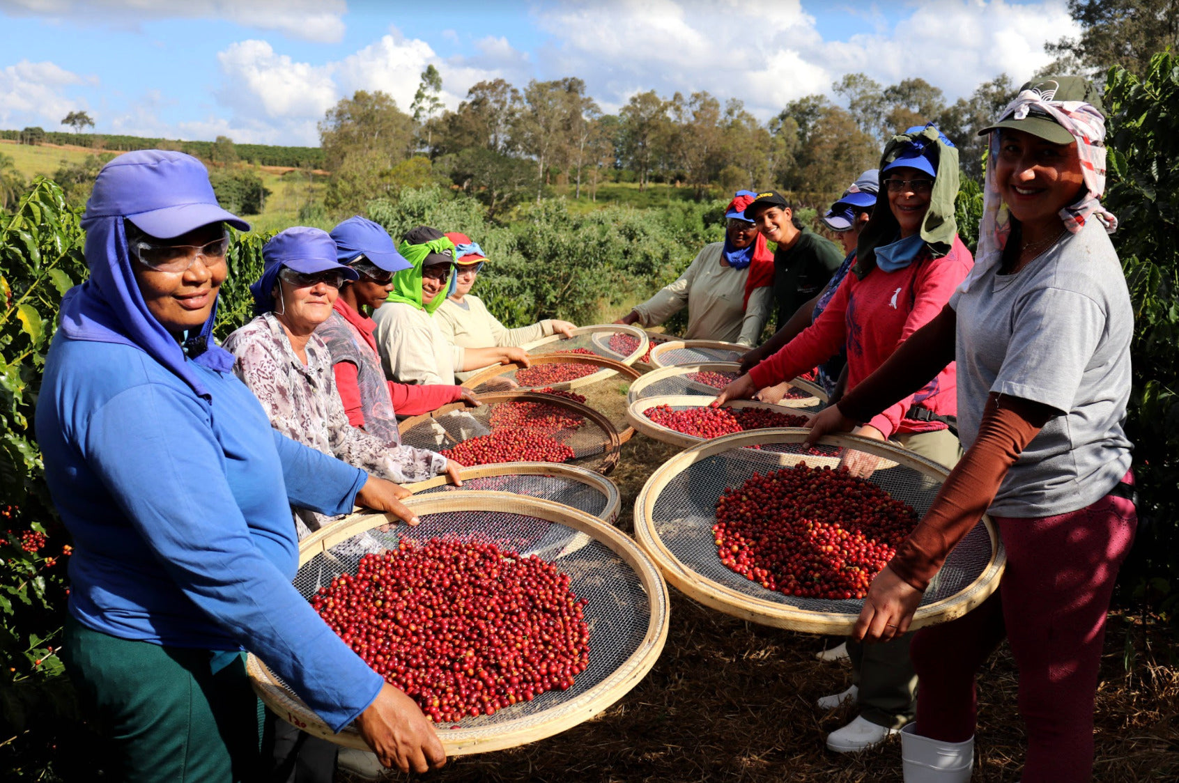 Biensta ayuda a la Sostenibilidad del Café