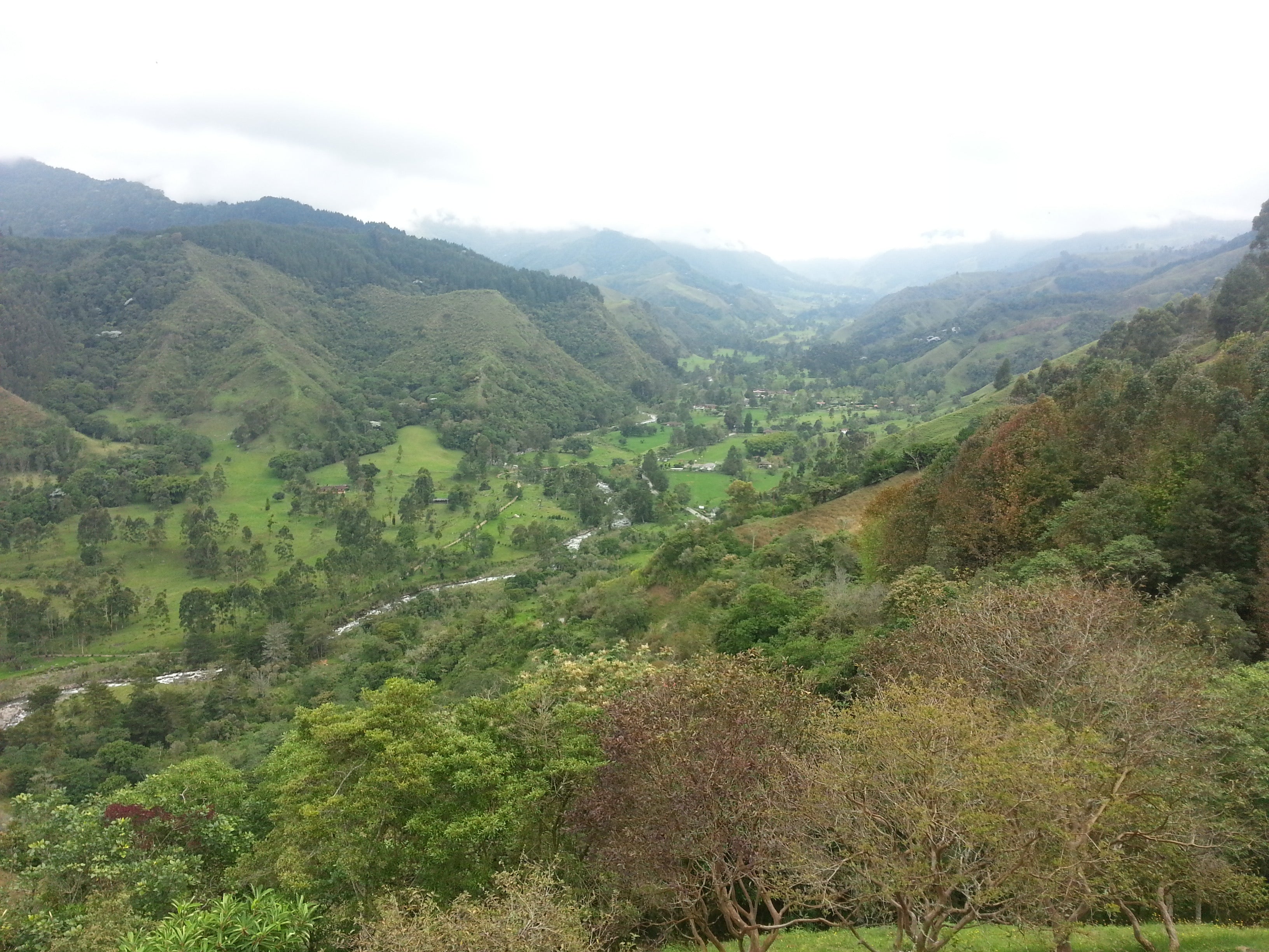 El café de Biensta empieza con vínculos en Colombia